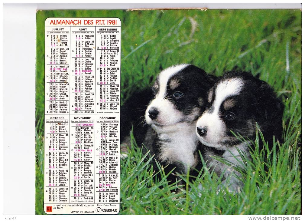 Almanach Des PTT 1981  "chiot / 2 Chiots" Graveur Sur Vitraux, Pêcheur Recousant Son Filet, Horloger, Potier OBERTHUR - Grand Format : 1981-90