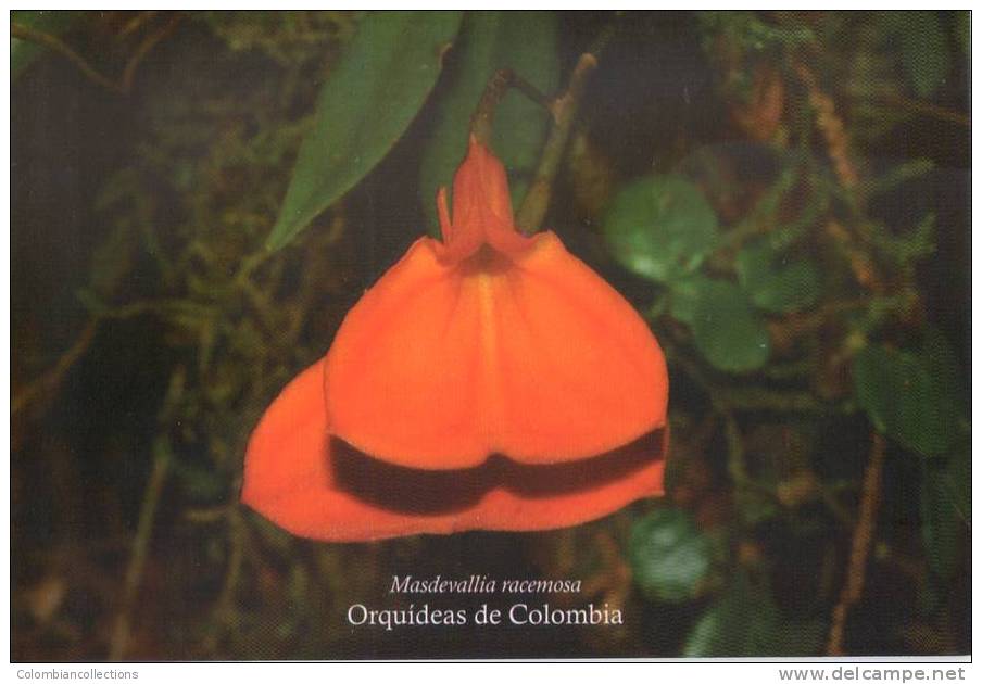 Lote PEP13,  Colombia, Orquidea, Orchid, Masdevallia Racemosa, Postcard - Colombie