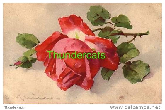 CPA ILLUSTRATEUR FLEUR FLEURS  ** CATHARINA KLEIN ** ARTIST SIGNED FLOWER FLOWERS - Klein, Catharina