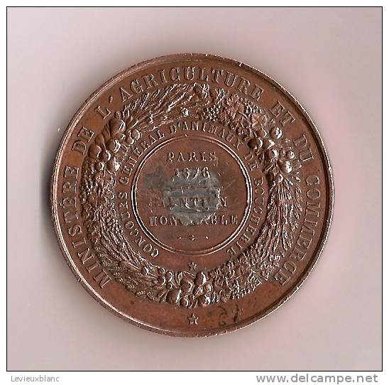 Médaille/Ministére Agriculture Et Commerce/Mention Honorable/Paris/1876     D44 - Frankrijk