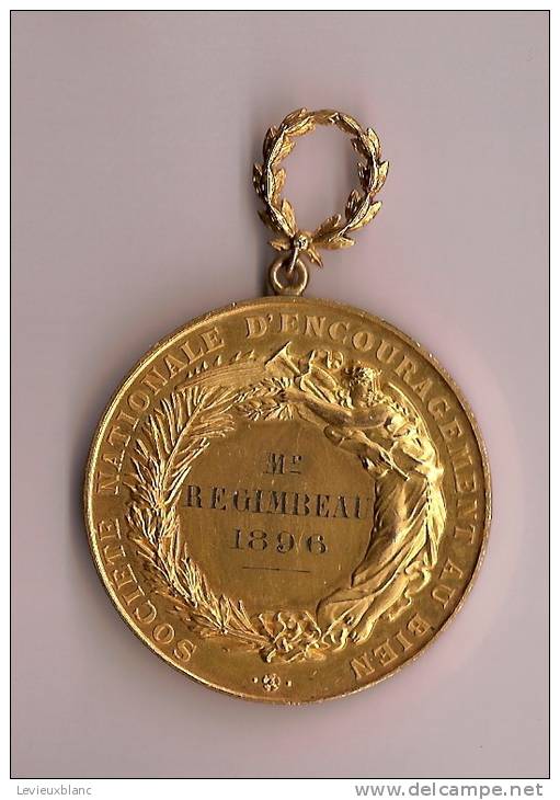Médaille/Société Nationale D'Encouragement Au Bien/attribuée/1896     D50 - France