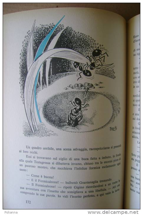 PET/11 Vamba (L.Bertelli) CIONDOLINO Bemporad Marzocco 1963/Ill.Vinicio Berti/FORMICHE - Antiguos