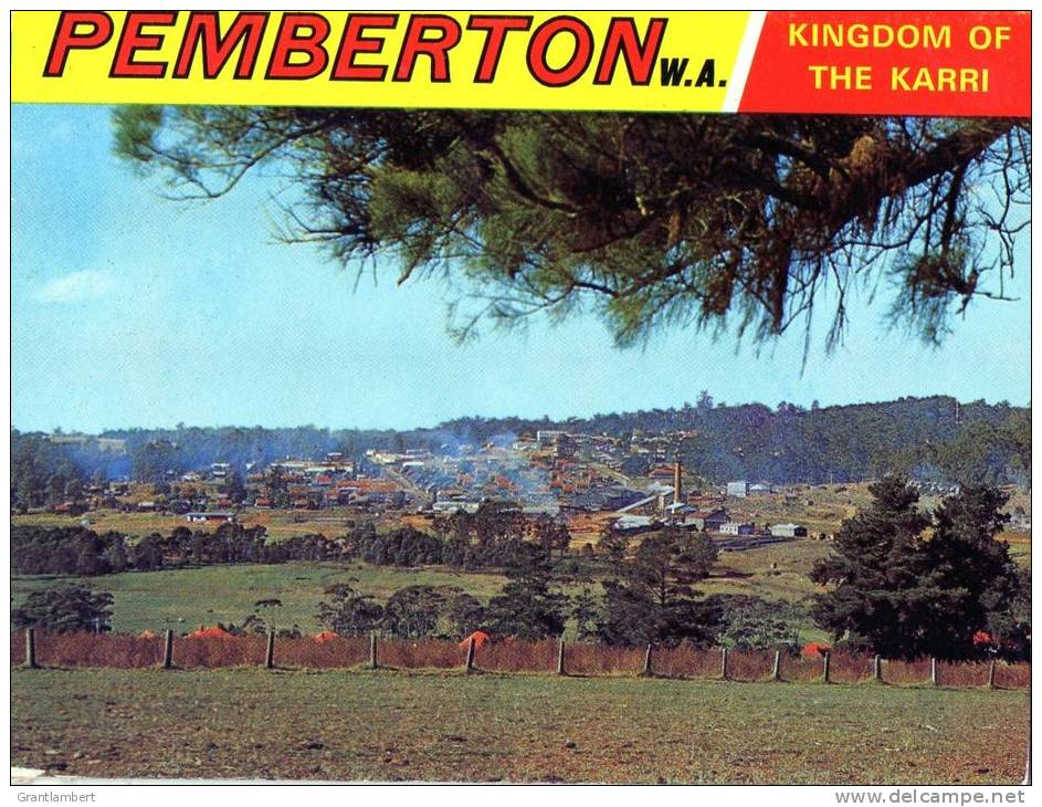 Pemberton, 200 Miles South Of Perth WA In Karri Forests 11 View Folder - Murray Views Unused - See 2nd Scan - Andere & Zonder Classificatie