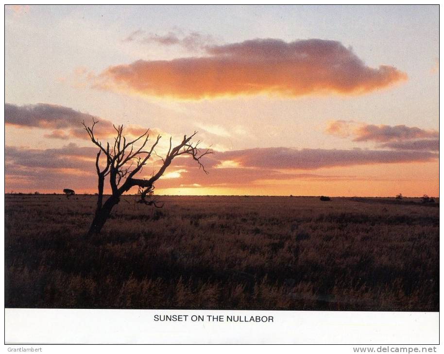 The Eyre Highway Ceduna- Eucla Highway 14 View Folder - Prestige Souvenirs Unused - See 4 More Scans - Otros & Sin Clasificación