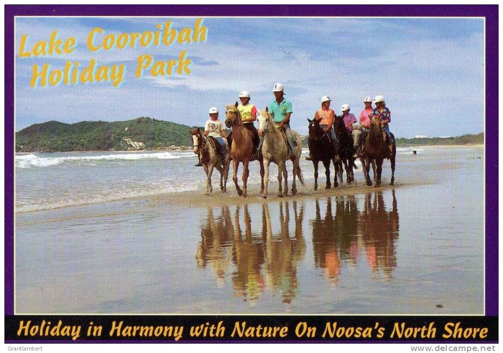 Horse Riding On Double Island Point Beach, Noosa, Queensland Unused - Autres & Non Classés