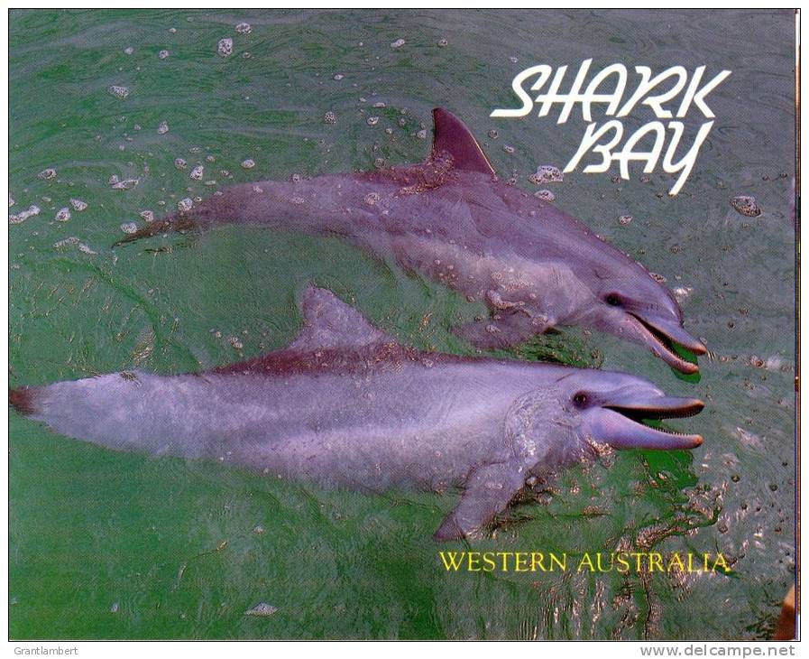 Shark Bay, Denham, Western Australia,  12 View Folder - MDS 0512 Unused - Otros & Sin Clasificación