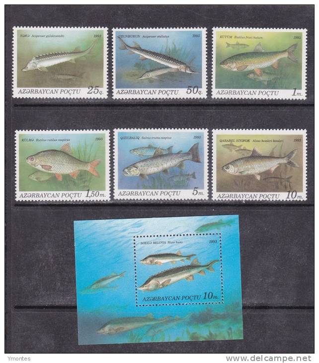 Fishes And Souvenir Sheet 1993 - Aserbaidschan