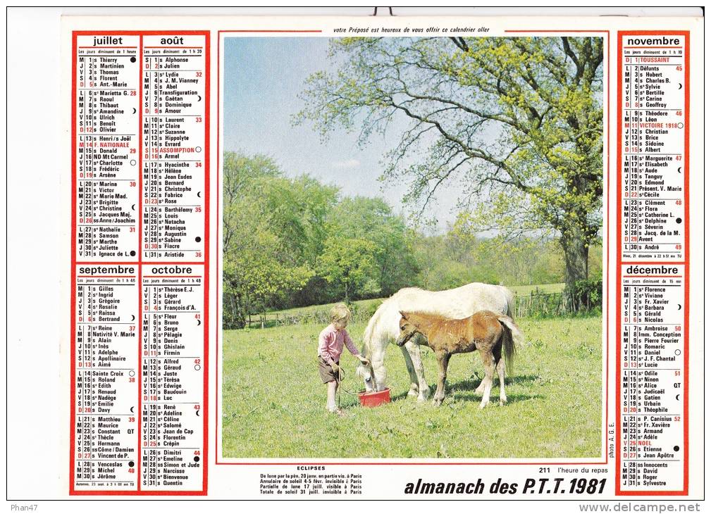 Almanach Des PTT 1981  "dans Les Jonquilles / L'heure Du Repas" Petite Fille Et Chien, Garçon, Jument, Poulain, OLLER - Formato Grande : 1981-90