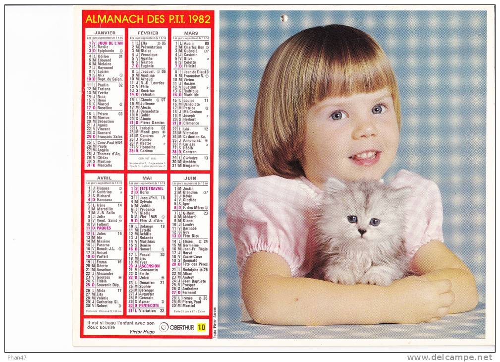 Almanach Des PTT 1982  "petite Fille Et Chaton / Chaton" OBERTHUR - Big : 1981-90