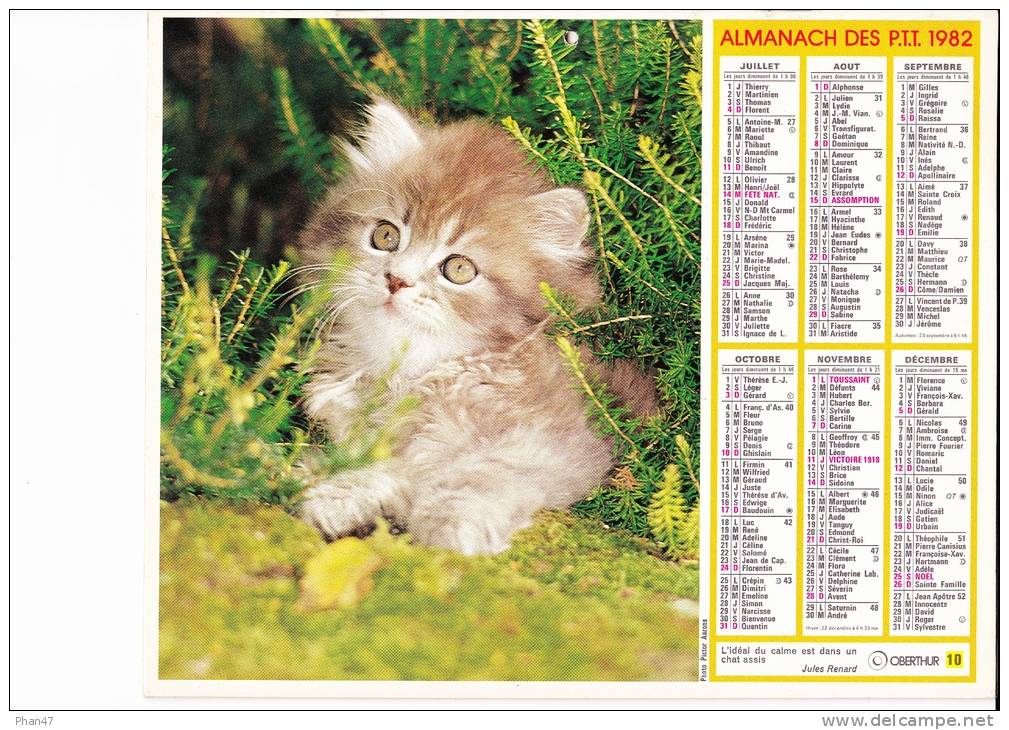 Almanach Des PTT 1982  "petite Fille Et Chaton / Chaton" OBERTHUR - Grand Format : 1981-90