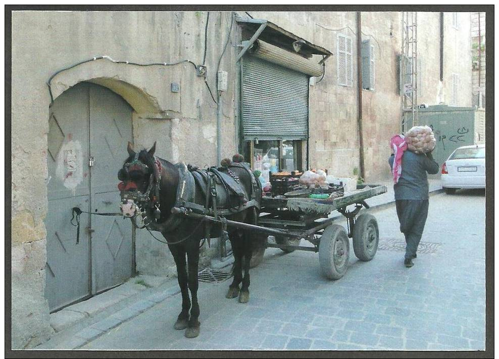 SIRIA  -  ALEPPO  -  MISCHA INTERNATIONAL  -  PHOTO  BERNARD  GAGNON - Siria