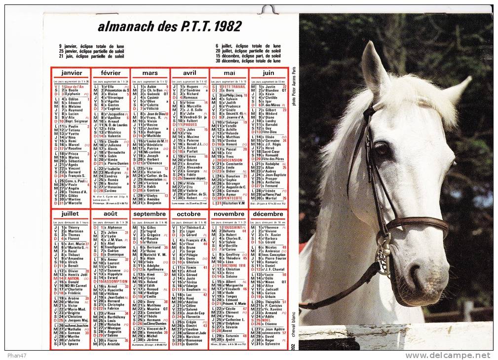 Almanach Des PTT 1982  "cheval Blanc / Ramassage Des Pommes" Pommiers OLLER - Big : 1981-90