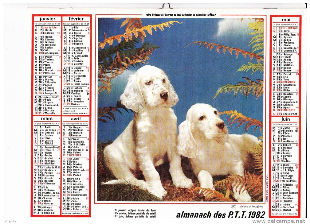 Almanach Des PTT 1982  "chiens Et Fougères/ Visite à L'écurie" Cheval, Agneaux, Oie, écurie, OLLER - Big : 1981-90