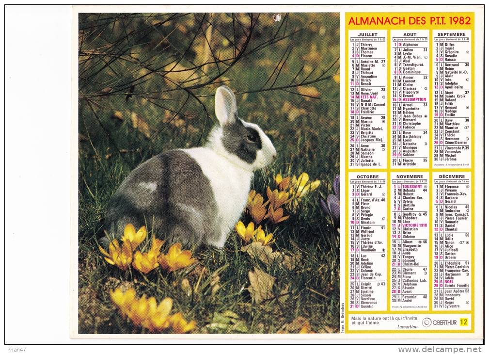 Almanach Des PTT 1982  "chien Et Chatons/ Lapin" OBERTHUR - Grand Format : 1981-90