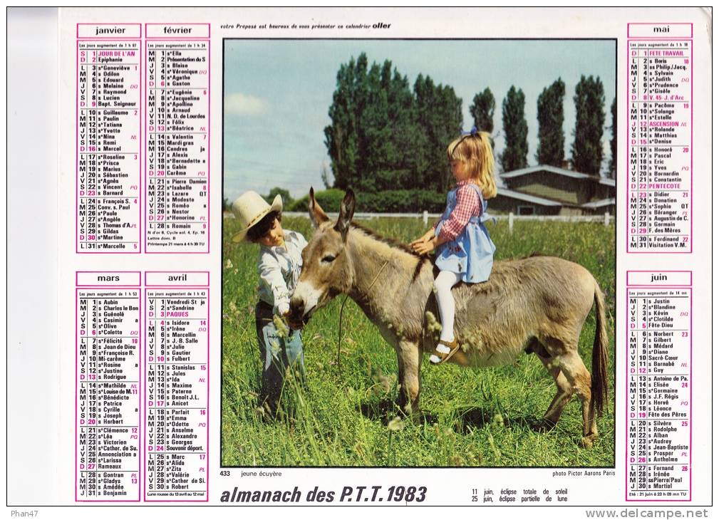 Almanach Des PTT 1983  "jeune écuyère / Fillette Et Chien Blanc" Enfants, âne, OLLER - Groot Formaat: 1981-90