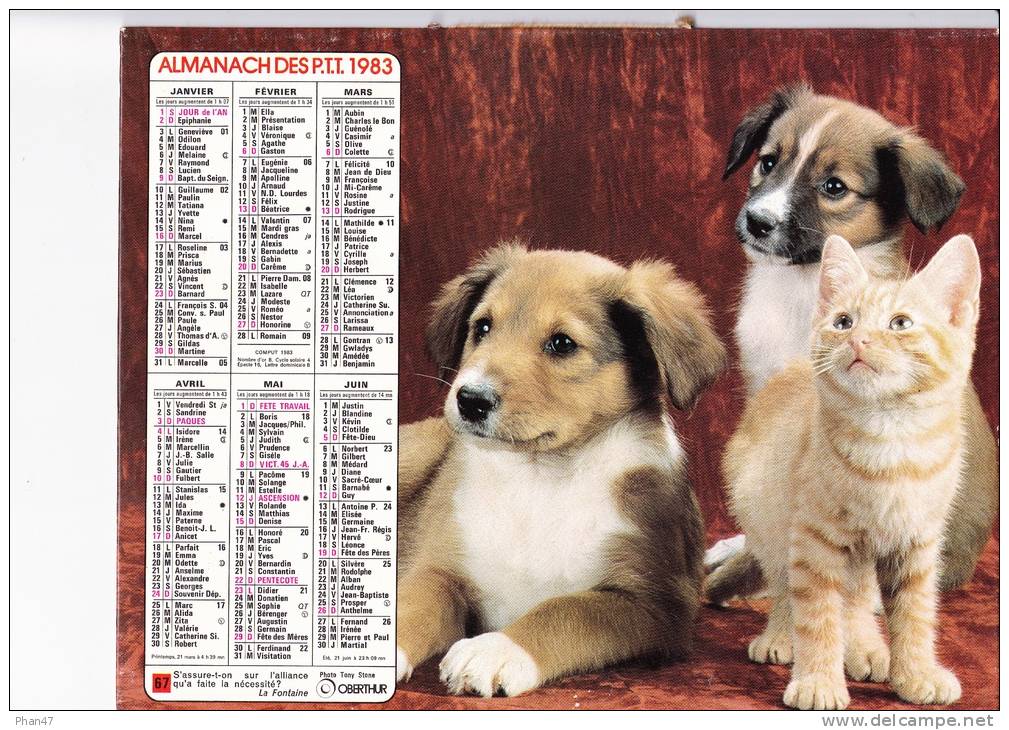 Almanach Des PTT 1983  "chiens Et Chat / Chevaux Sauvages" OBERTHUR - Big : 1981-90