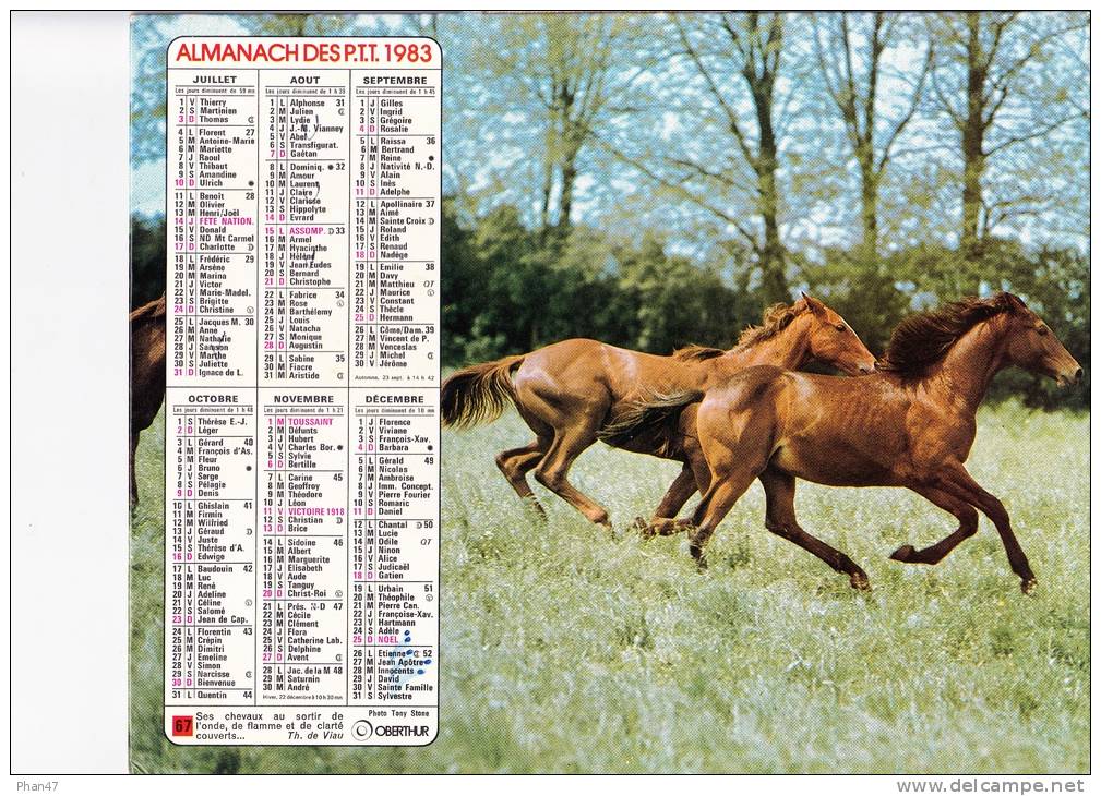 Almanach Des PTT 1983  "chiens Et Chat / Chevaux Sauvages" OBERTHUR - Big : 1981-90