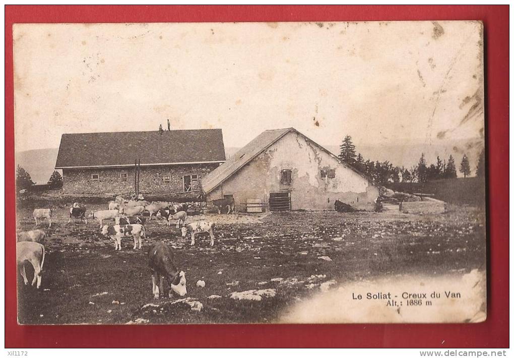 P908 Ferme Du Soliat Au Creux Du Van, Val De Travers.Troupeau De Vaches.Cachet Noiraigues 1918, Petites Taches. - Noiraigue 