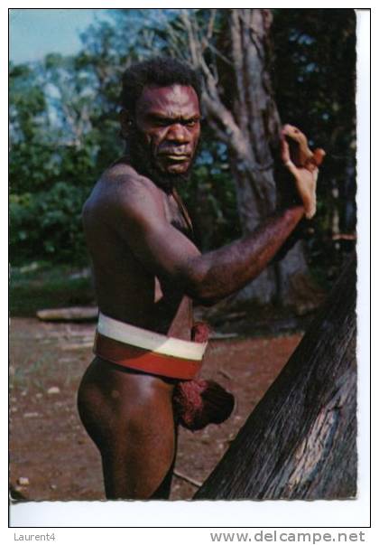 (666) Papua New Guinea - Joueur De Tam Tam De Amok Island - Musician - Papua New Guinea