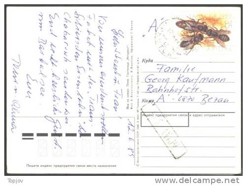 RUSSIA - USSR -  APIDAE  -  HONEYBEES  Stamp On  CARD - 1989 - Abeilles