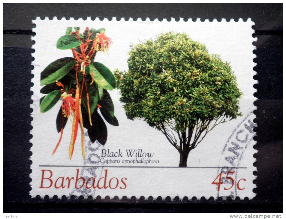 Barbados - 2005 - Mi.nr.1098 - Used - Trees And Flowers - Black  Willow - Definitives - Barbades (1966-...)