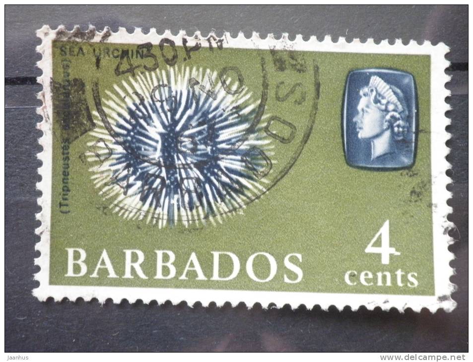 Barbados - 1965/66 - Mi.nr.238 - Used - Marine Animals - Sea Urchin - Definitives - Barbados (1966-...)