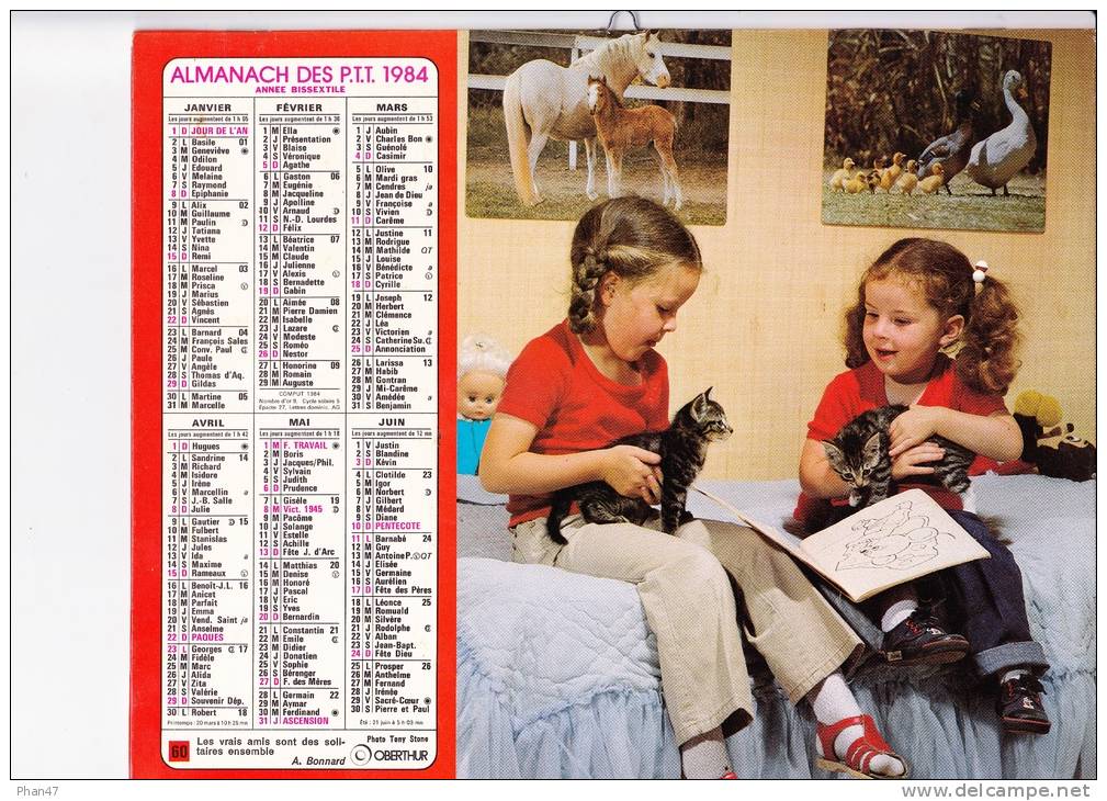 Almanach Des PTT 1984  "Petites Filles Et Chatons / Petite Fille Et Chiot" Poupée, OBERTHUR - Big : 1981-90