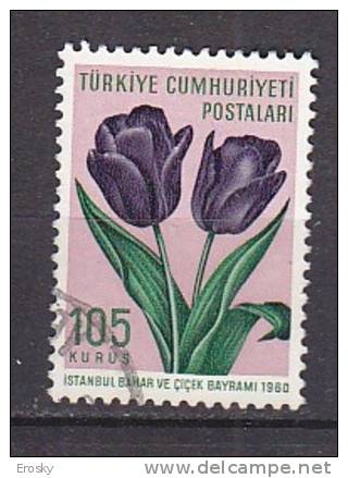 PGL AP004 - TURQUIE TURKEY Yv N°1531 - Used Stamps