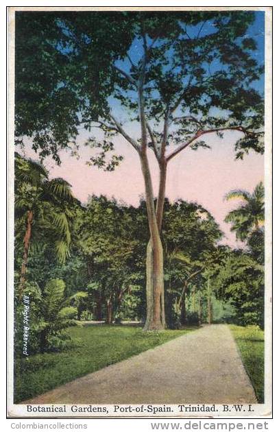 Lote PEP117, Trinidad, Postal, Postcard, Botanical Gardens. (The Postcard Is Not In Perfect Condition) - Trinidad