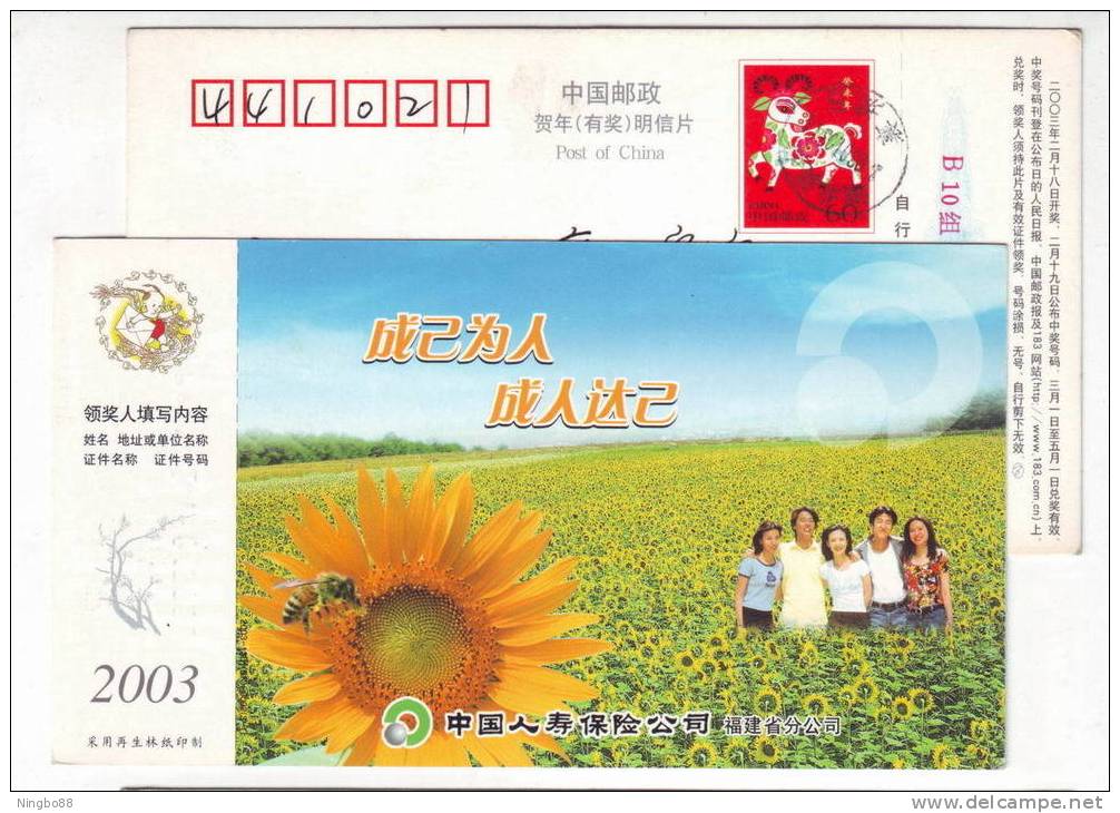 China 2003 Life Insurance Fujian Branch Advertising Postal Stationery Card Honeybee Bee Sunflower Field - Abeilles