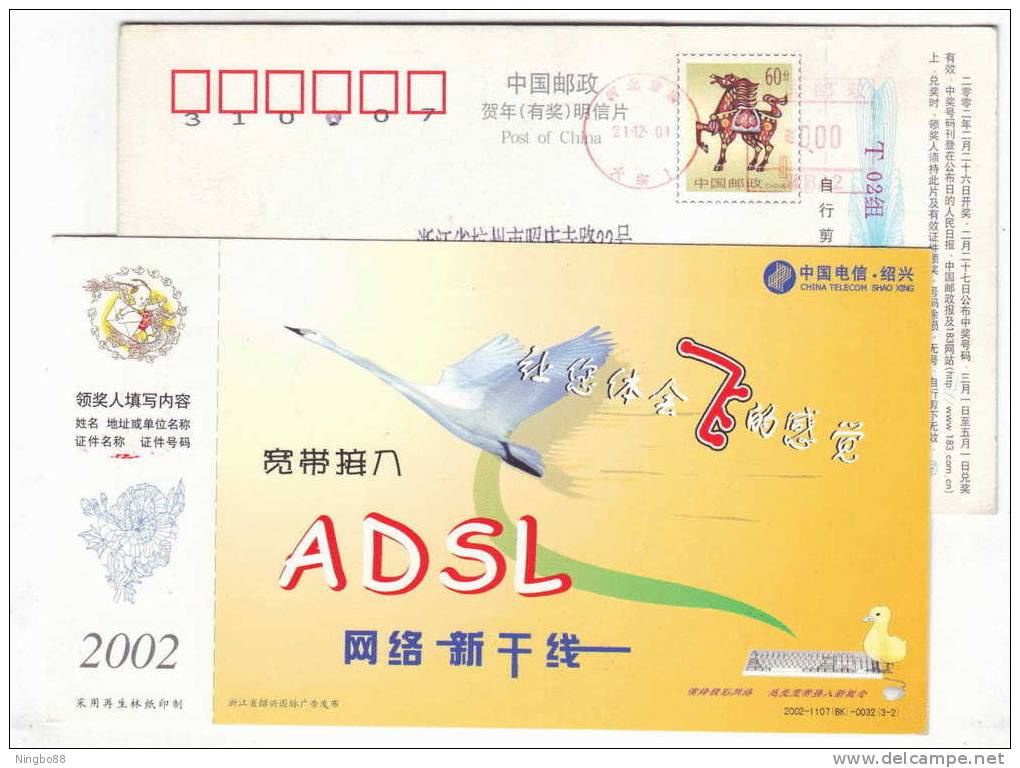 Swan Bird,keyboard,China 2002 Shaoxing Telecom ADSL Network Broadband Access Service Advertising Pre-stamped Card - Cisnes