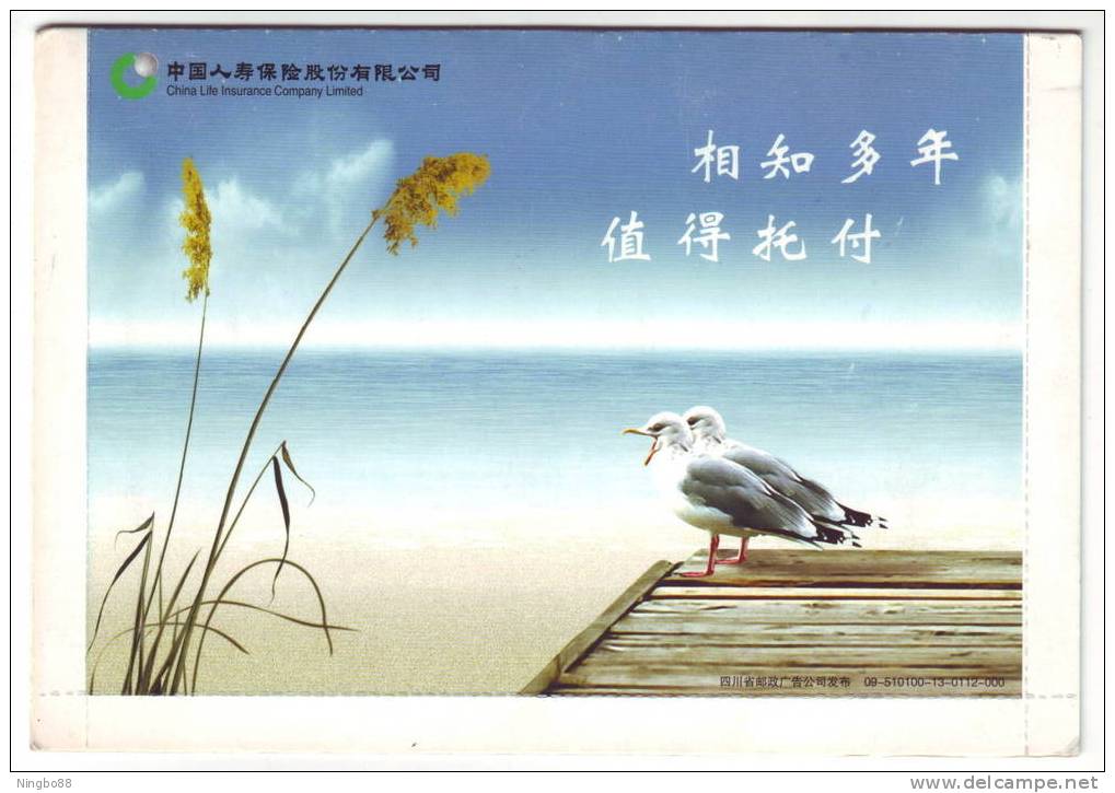 Seagull Bird,sea Gull,China 2009 Life Insurance Company Advertising Pre-stamped Letter Card - Seagulls