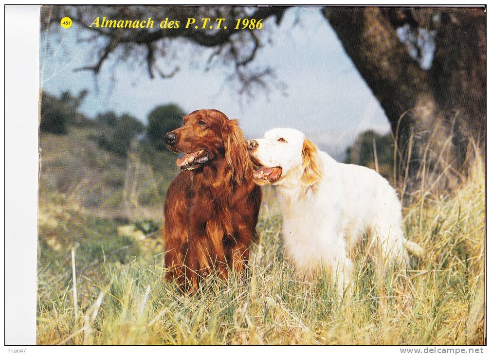 Almanach Des PTT 1986  "chiens De Chasse" / Chevaux Et Poulin"   Setters, Jument OLLER - Big : 1981-90