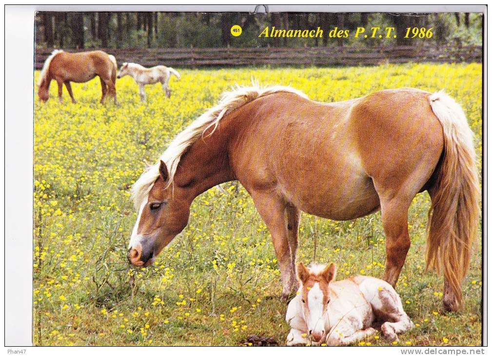Almanach Des PTT 1986  "chiens De Chasse" / Chevaux Et Poulin"   Setters, Jument OLLER - Big : 1981-90