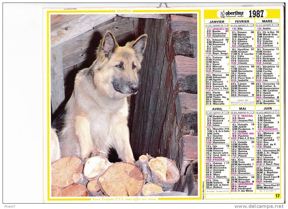 Almanach Des PTT 1987  "chien Loup" / Jument Et Poulin" Berger Allemand, Cheval OBERTHUR - Big : 1981-90