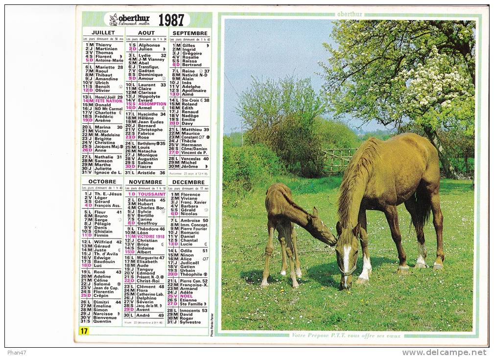 Almanach Des PTT 1987  "chien Loup" / Jument Et Poulin" Berger Allemand, Cheval OBERTHUR - Big : 1981-90