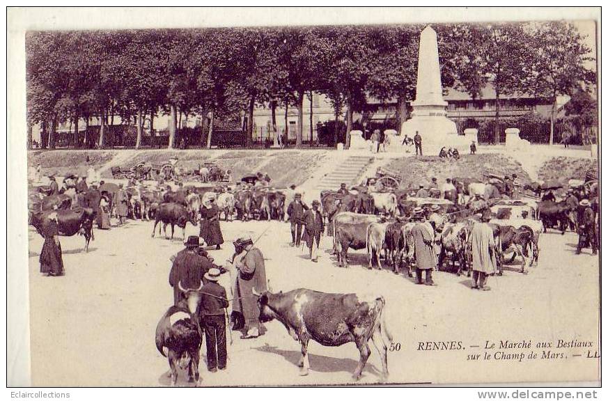 Rennes   Marché Aux Bestiaux - Rennes