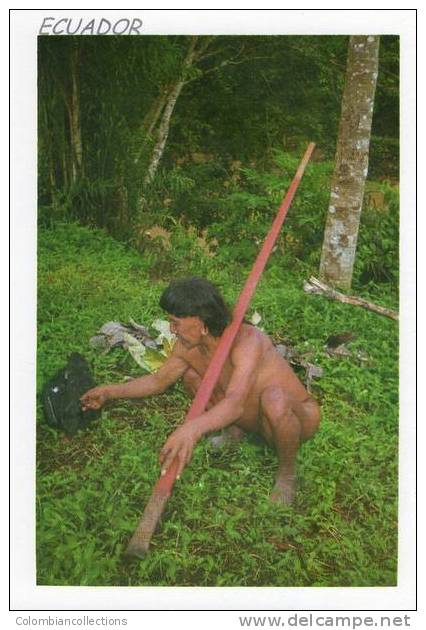 Lote PEP144, Ecuador, Postal, Postcard, Huaorani Acariando Al Mono, Indigenous Activities, Actividades Indigenas - Ecuador