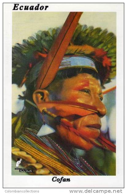 Lote PEP145, Ecuador, Postal, Postcard, Cofan, Indigenous Activities, Actividades Indigenas - Equateur