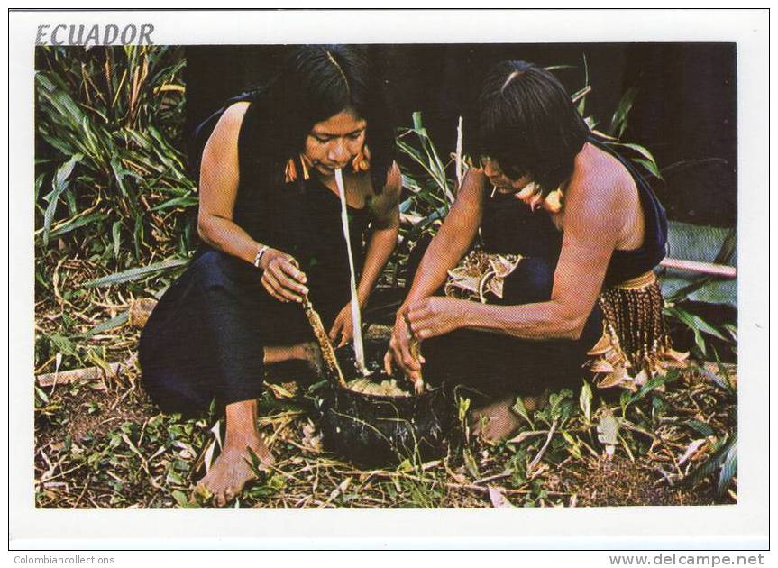 Lote PEP159, Ecuador, Postal, Postcard, Shuaras, Indigenous Activities, Actividades Indigenas - Ecuador