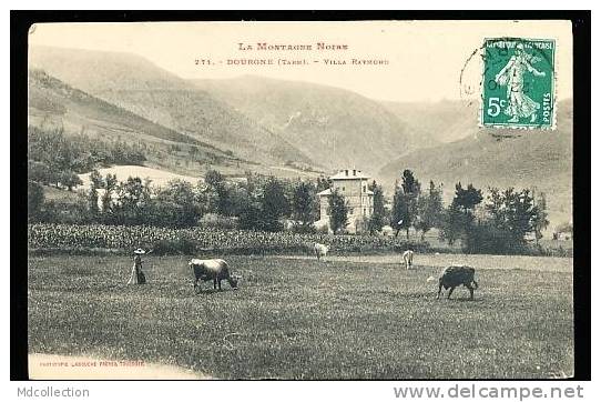 81 DOURGNE / Villa Raymond / - Dourgne