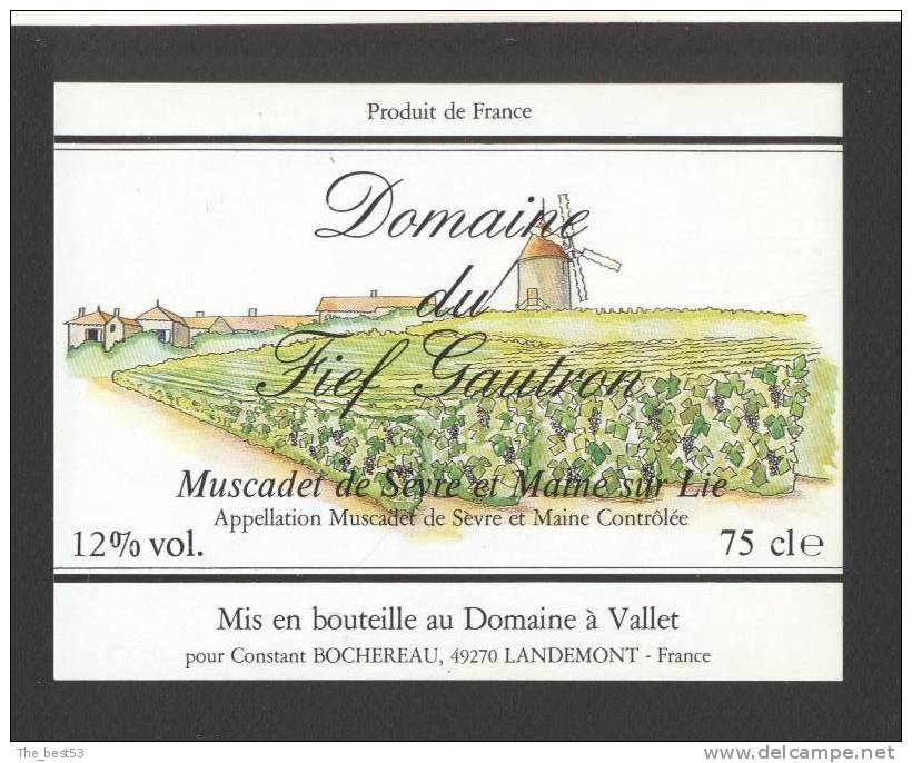 Etiquette De Vin Muscadet De Sèvre Et Maine - Domaine Du Fief Gautron - C. Bochereau à Landemont (49) - Windmolens