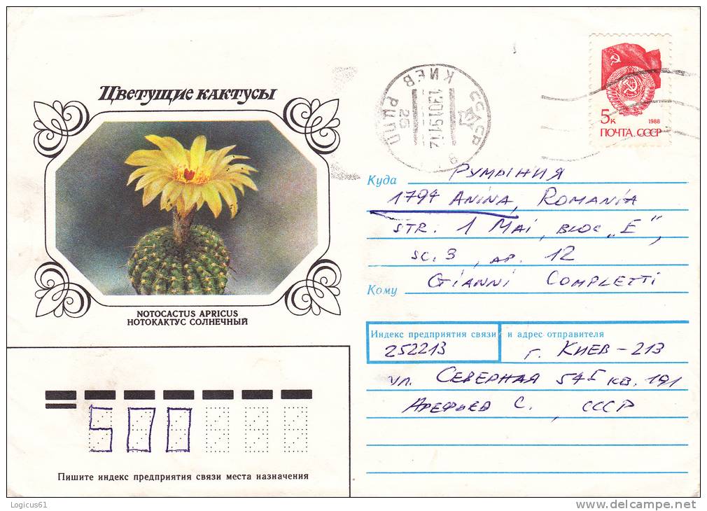 RUSSIA: NOTACACTUS APRICUS., 1983,COVER USED. - Cactusses