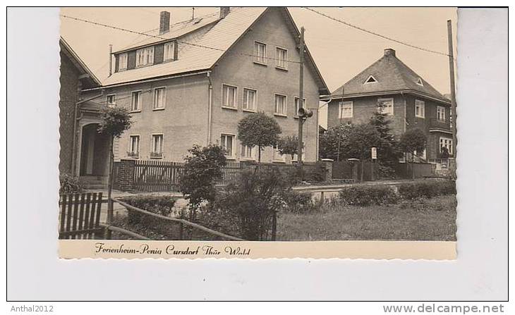 AK Wohnhaus Fereinheim Penig Cursdorf Thüringen Kleinformat Sw Gezackt 50er - Rudolstadt