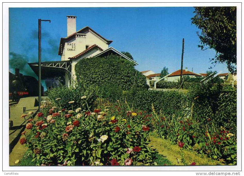 MACEDO DE CAVALEIROS - Estação De Caminhos De Ferro E Comboio Para Bragança - Train Station - Bragança