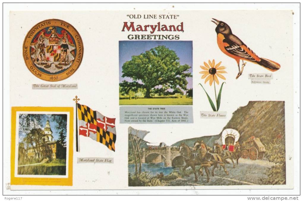 "Old Line State" Maryland Greetings - Other & Unclassified