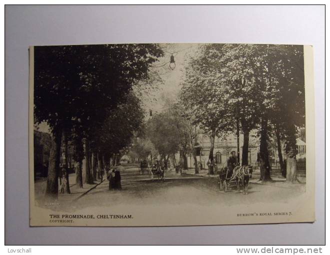 Cheltenham. - The Promenade. - Cheltenham