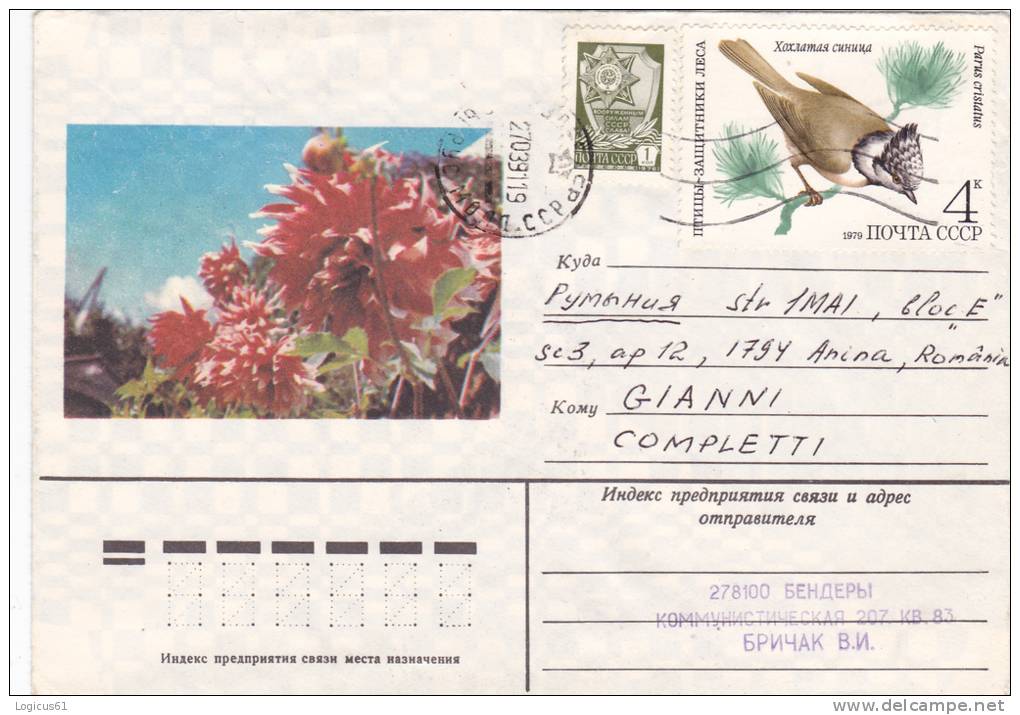 RUSSIA:CACTUS FLOWERS AND BIRD PARAKEETS(PARUS CRISTATUS), UNUSED COVER 1991 - Cactusses