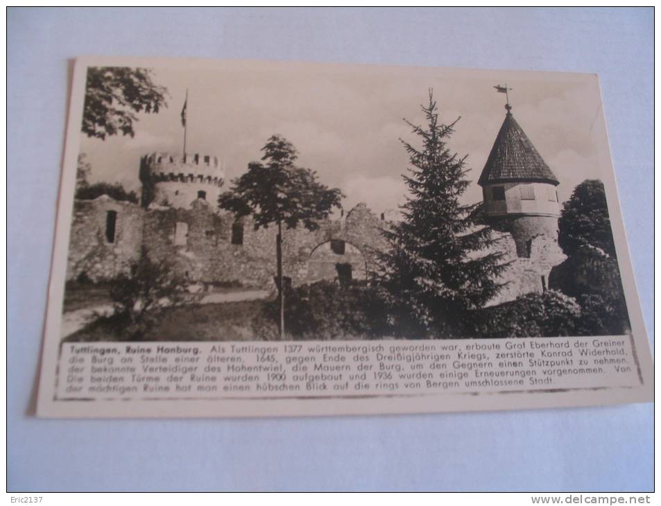 Ruines Du Chateau.. - Tuttlingen