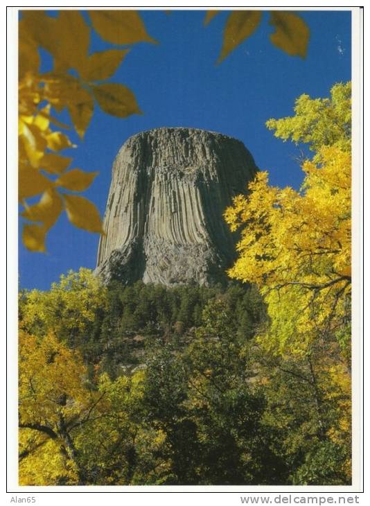 Devil's Tower WY Wyoming, National Monument, Geology, C1980s/90s Vintage Postcard - Autres & Non Classés